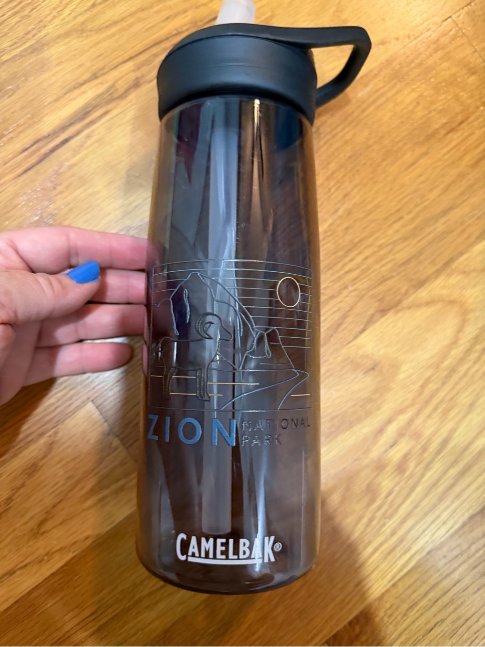 CamelBak Zion National Park  Water Bottle with Straw Lid